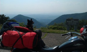 BikerDogSlider055